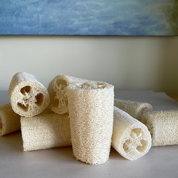 Dr. Bessette Naturals Bath One Natural Loofah For Bath Or Shower